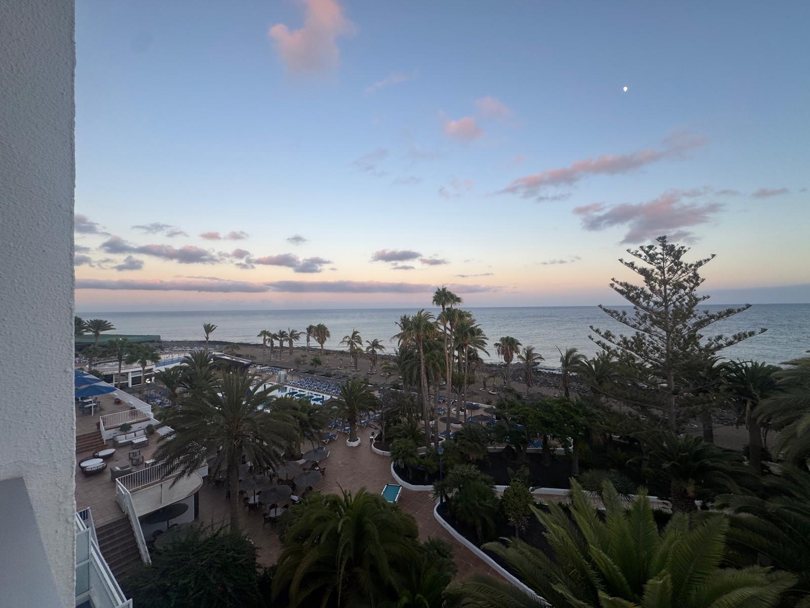Sunset over the ocean with palm trees